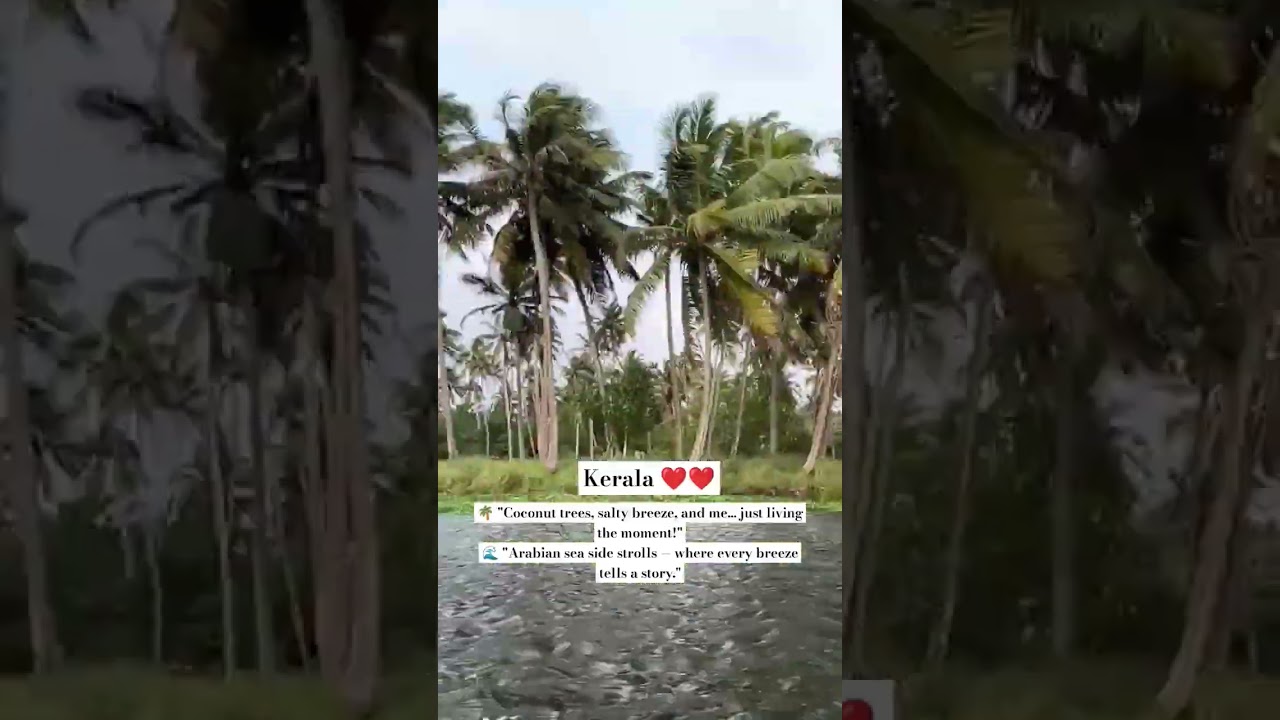 Coconut Island, kerala #beach #travel #waves #nature #beachlife #kerala #coconut #sea