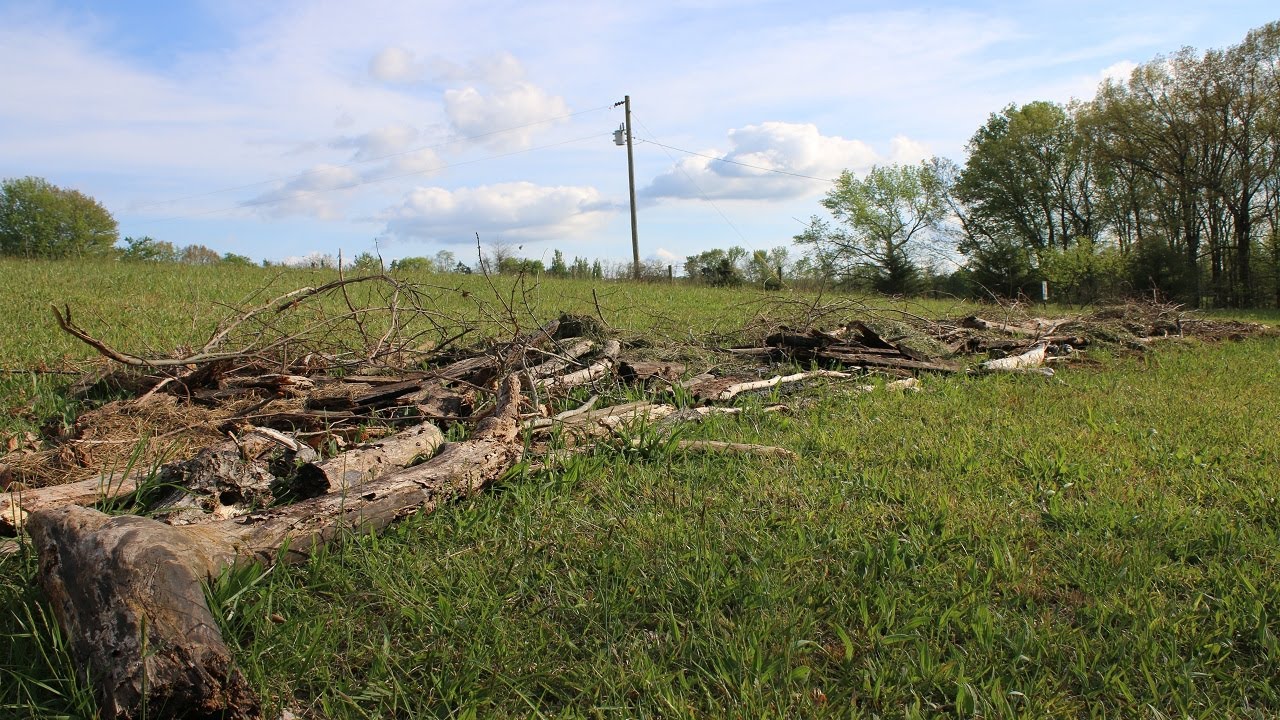 Fifty Foot Free Forest Garden (Hugelkultur Mound)