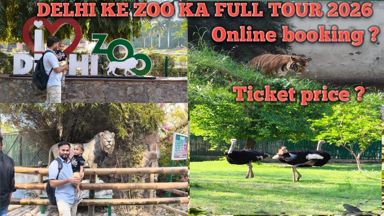 Delhi zoo full tour Full information 🐯🐯#manyafamilyvlogs #delhi #delhizoovlog #animals #viralvideo 🐅
