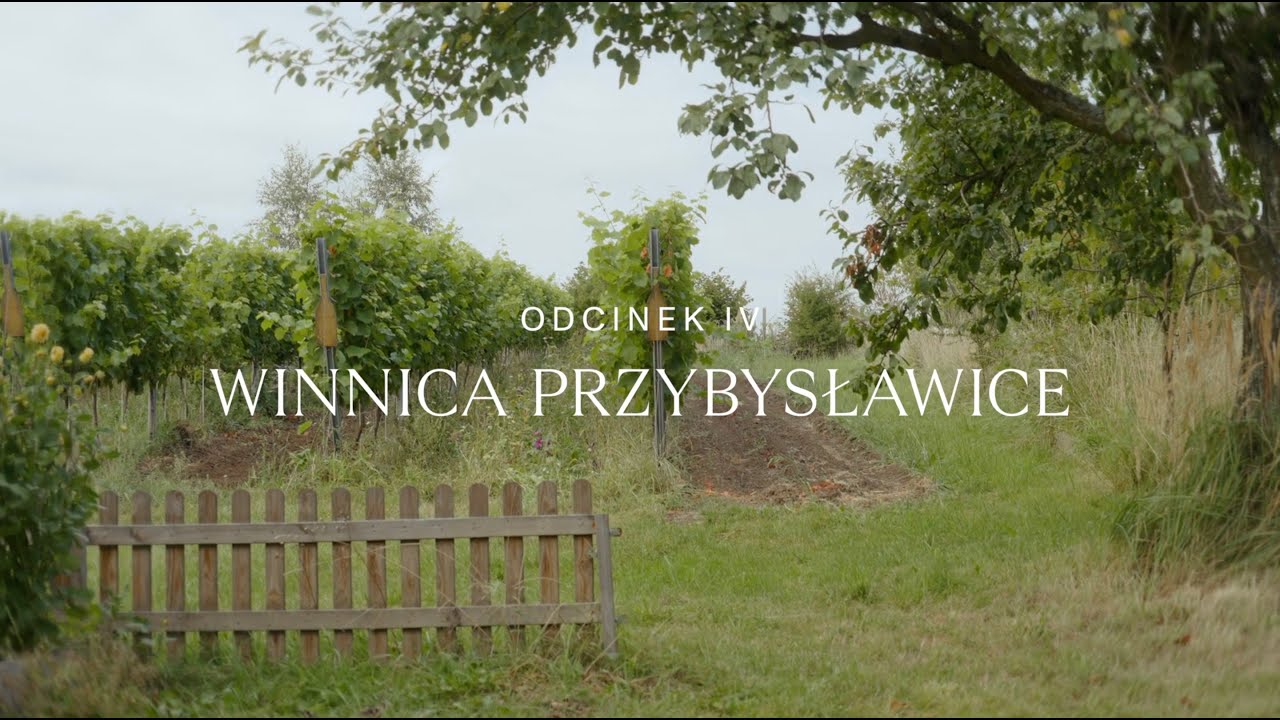 WINIARZE JURY - S01E04 - Winnica Przybysławice