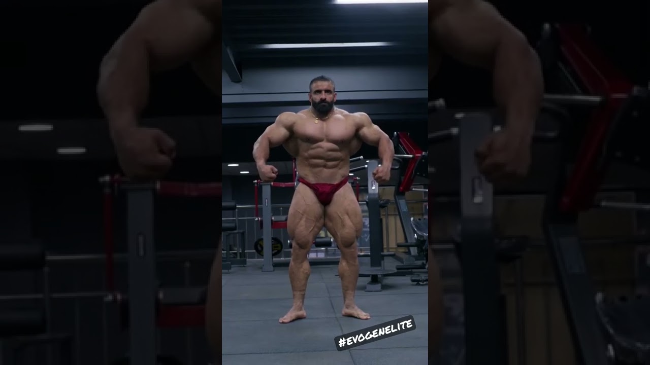 An Update From the Persian Wolf Hadi Choopan