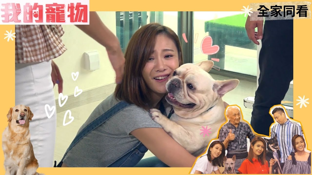 妳不准抱別的狗！！朱智賢的愛犬超會呷醋！ | 我的寵物 | 姚子羚、陳庭欣、崔建邦、鄧卓殷、李家鼎 | TVB 親子節目 | 寵物節目