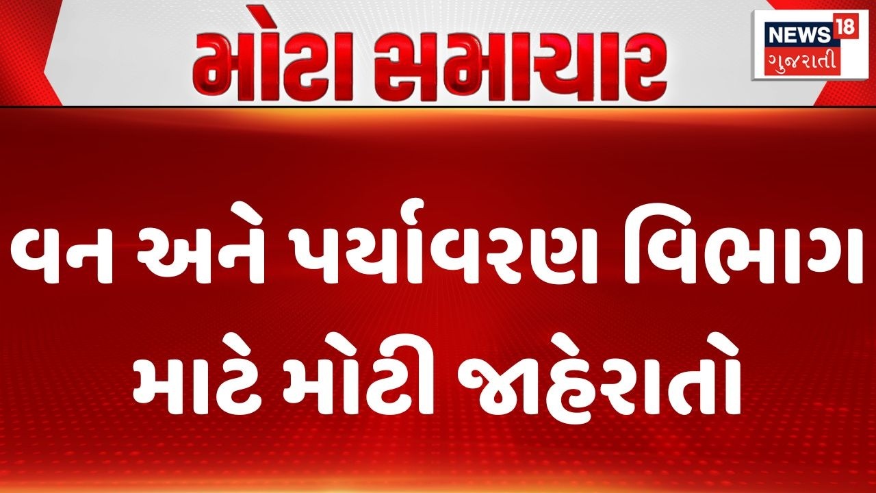 Forest and Environment Department | વન અને પર્યાવરણ વિભાગ માટે મોટી જાહેરાત | Gujarati News