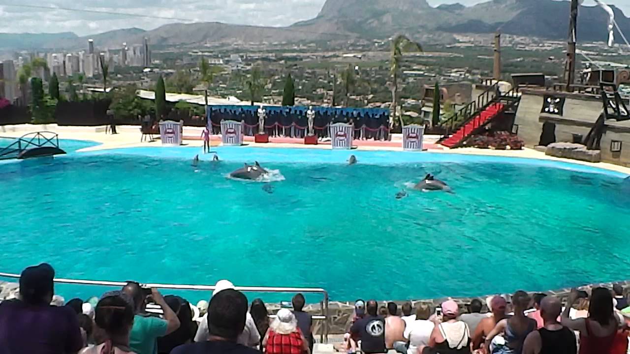Mundomar Dolphin Show June 2013 Benidorm Spain