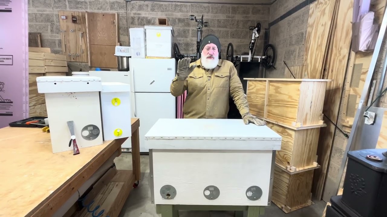 Is Moisture in a Hive Bad?