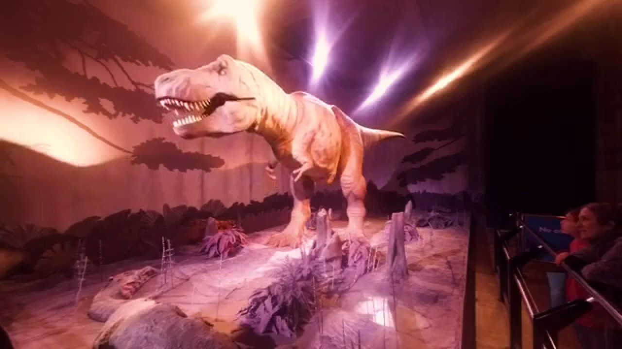 Dive Into the Past! Breathtaking Tour around London's Natural History Museum - VR 180 3D Experience