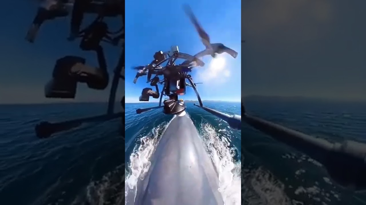Drone footage capturing the tagging of a blue Whale#drone #footage#tagging#blue