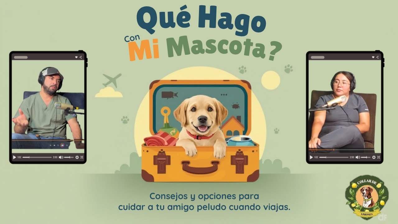 ¿Te vas de vacaciones? Cuidados para tu mascota | Collar de Limones