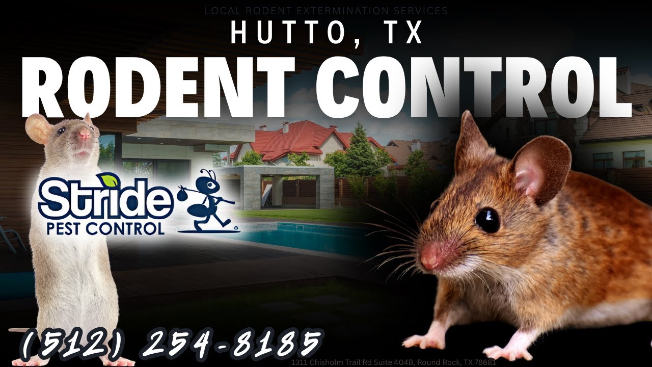Hutto, Texas Rodent Control Services (512) 254-8185