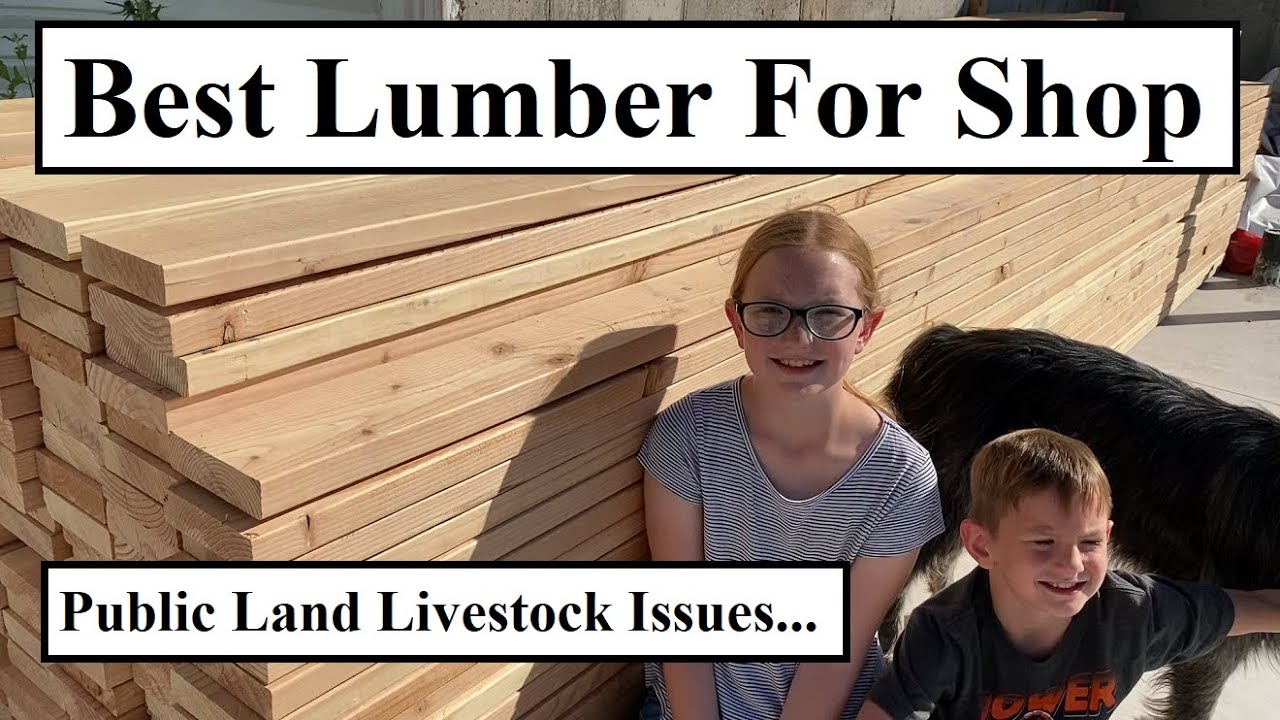 #419 - Shop Lumber Is HERE!!! Public Land Livestock Problems