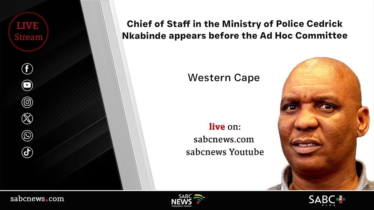 Parliament Ad Hoc Committee |  Cedrick Nkabinde appears before Parliament