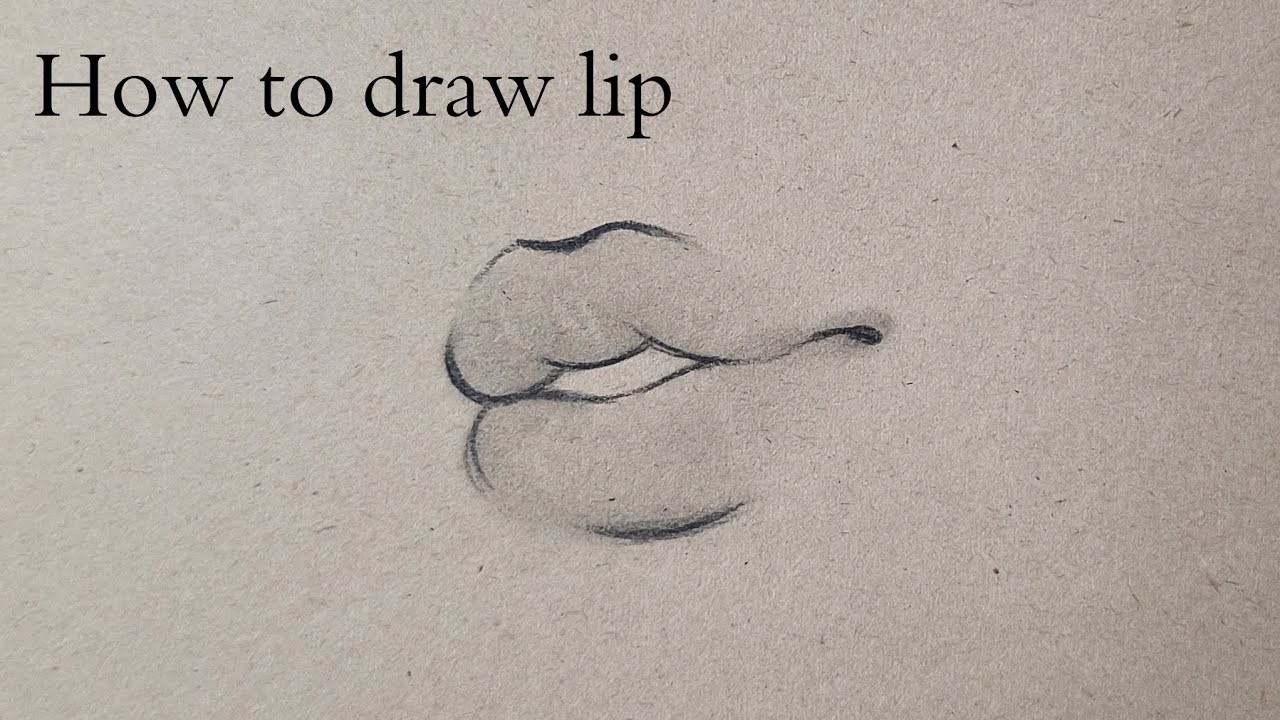 How to draw an lip/lips easy step by step for beginners lip drawing easy tutorial with pencil bas