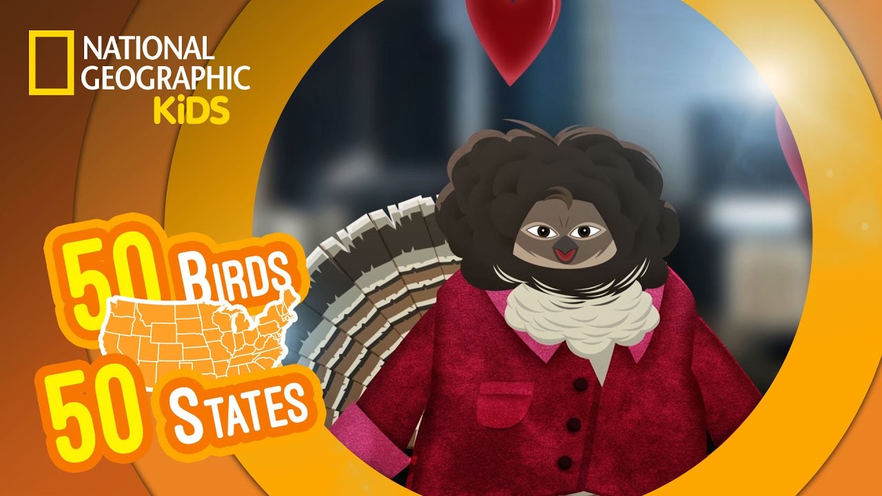 Pennsylvania - Feat. Rapper MC Carlton the Ruffed Grouse | 50 Birds, 50 States