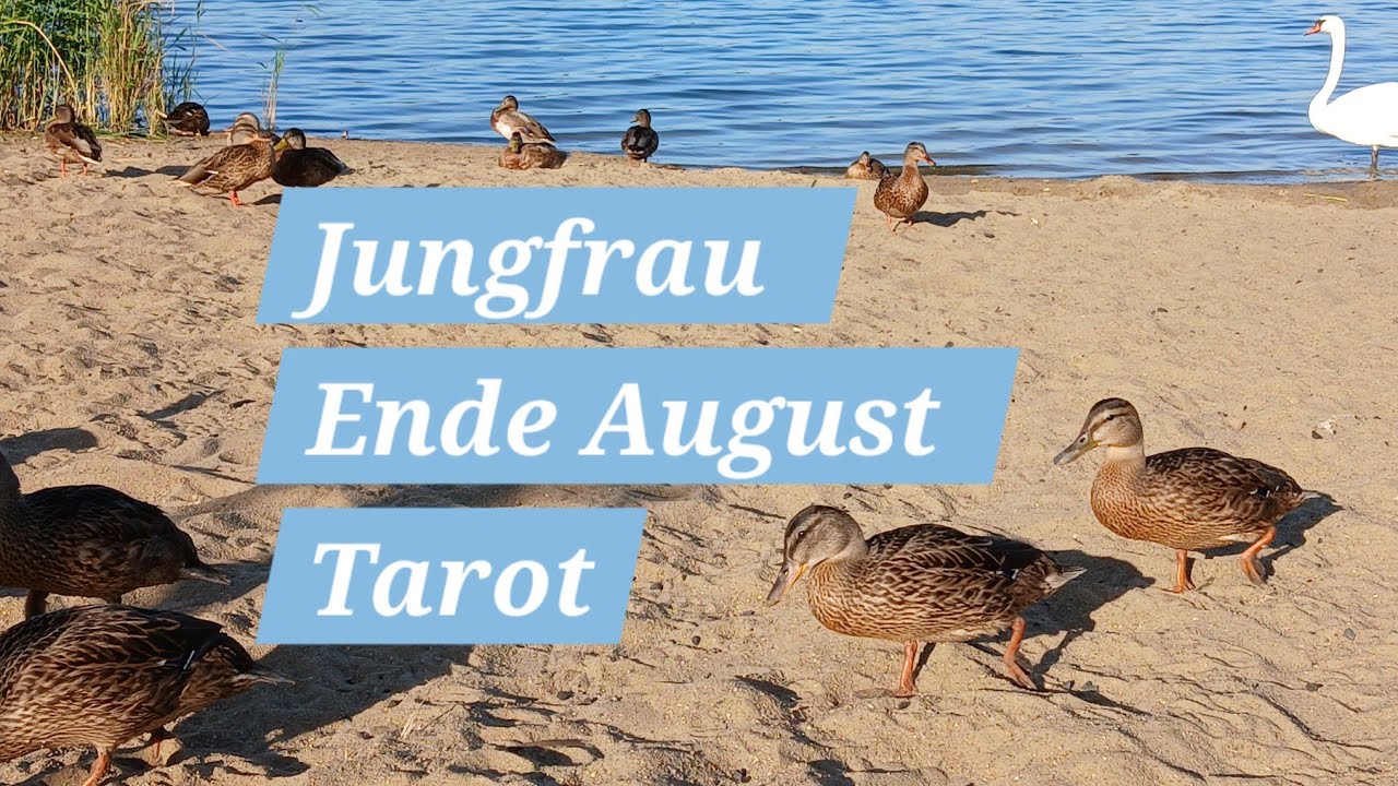 Jungfrau♍️ ✨️3️⃣ Konstellation endet 3️⃣3️⃣3️⃣✨️🍀