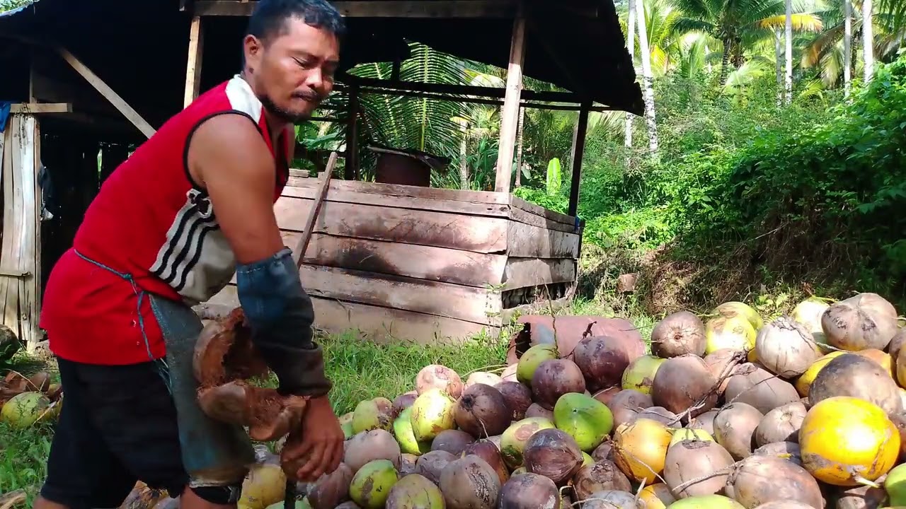 JC mix Vlog EPISODE 76 balik nmn ako sa trabaho sa pag Balat ng niyog manga idol 