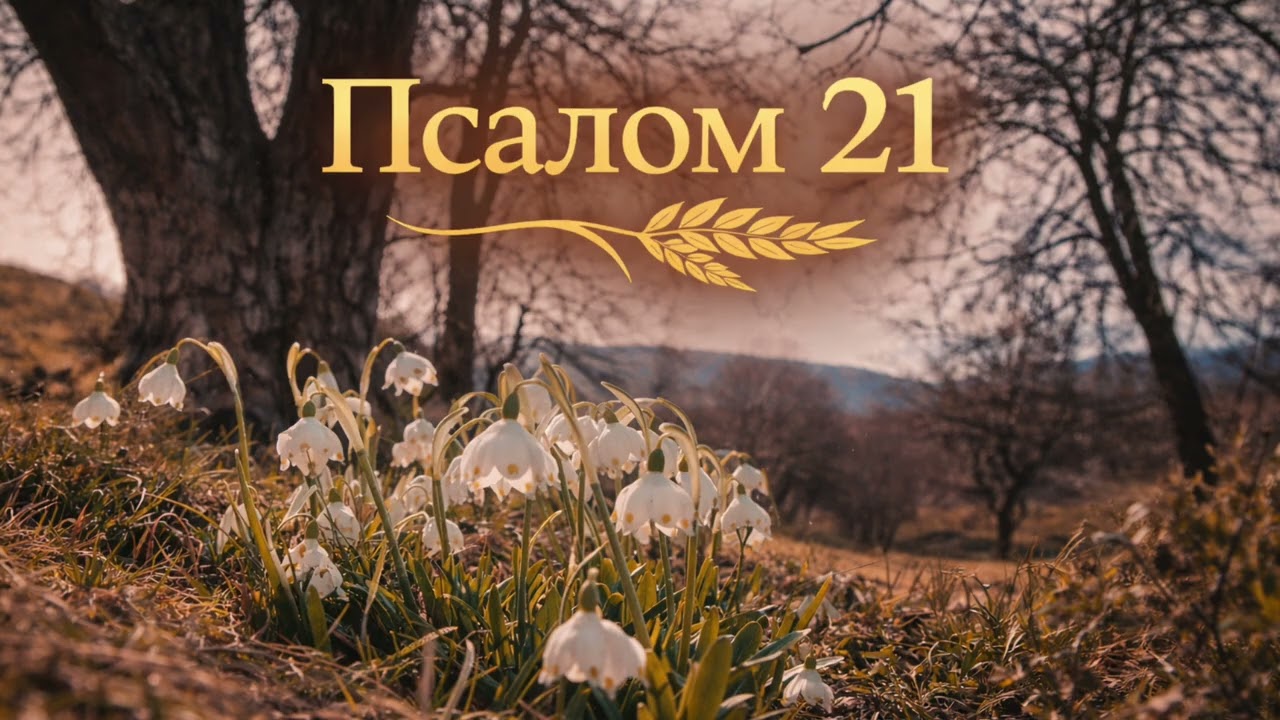 Псалом 21 (40 разів) | Боже мій, чому Ти покинув мене | Сильна молитва