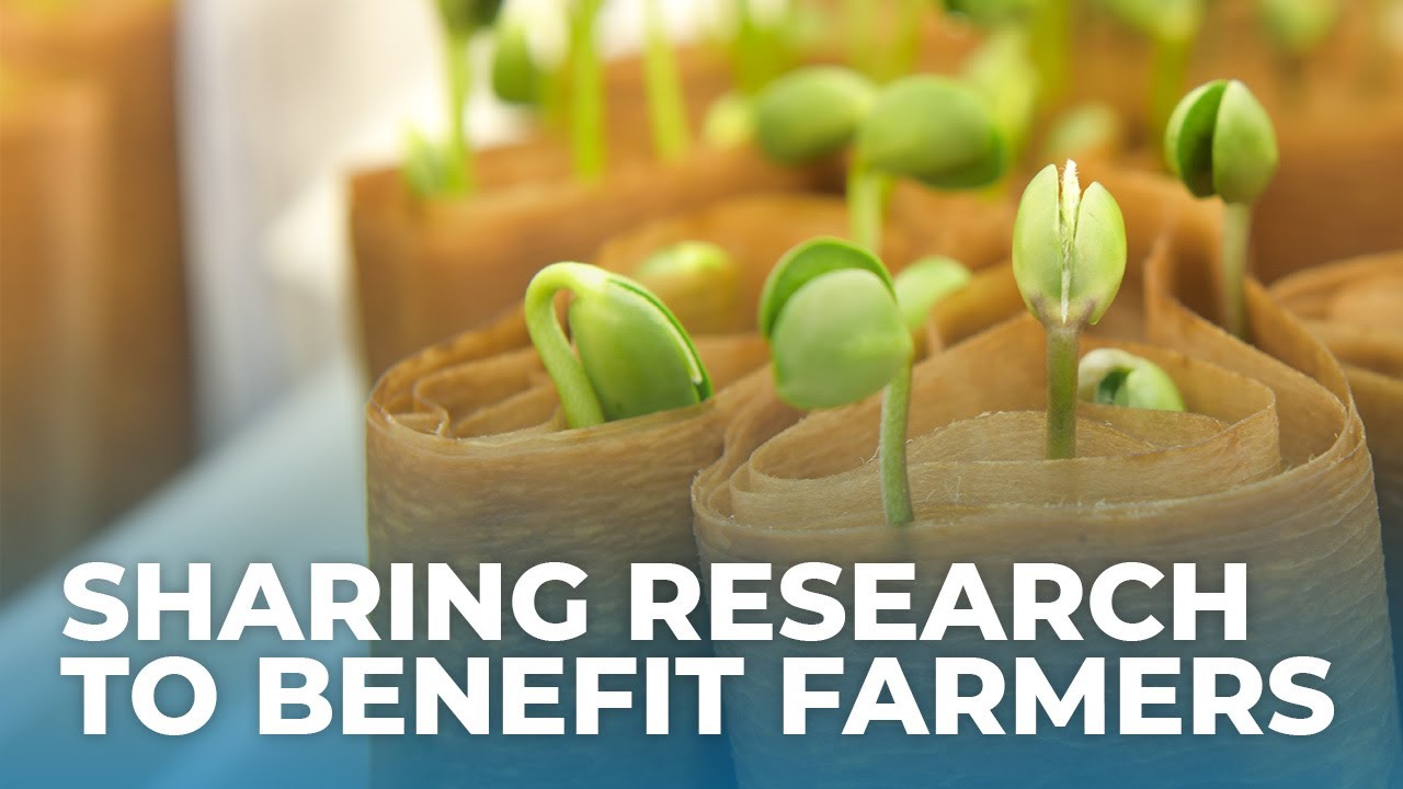 Leveraging Soybean Research Across State Lines