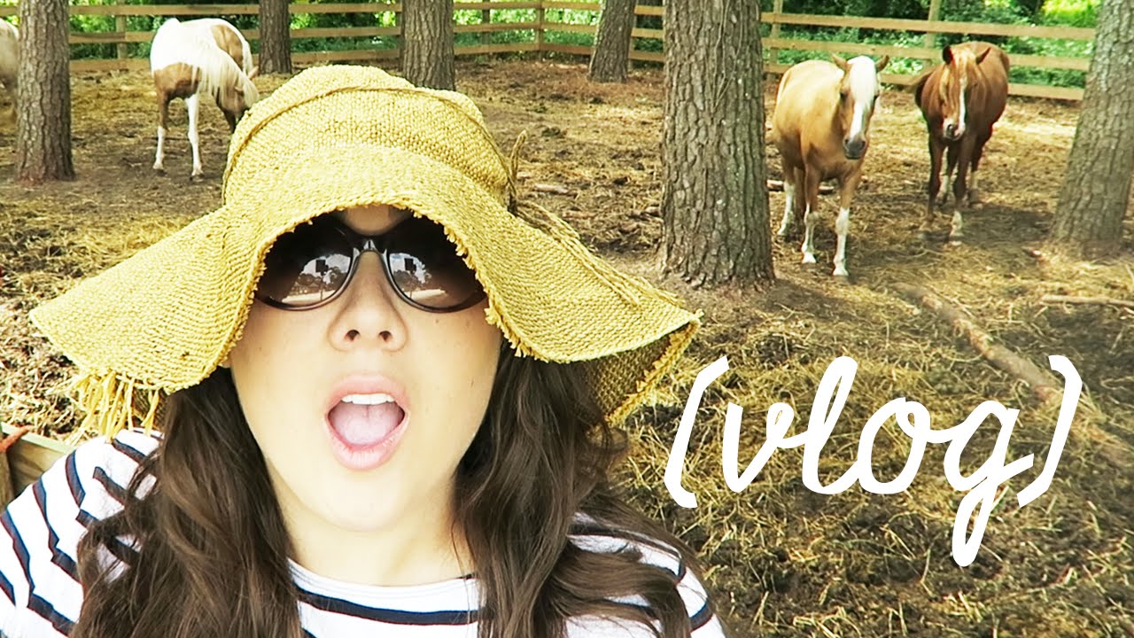 STACY OF CHINCOTEAGUE - VLOG