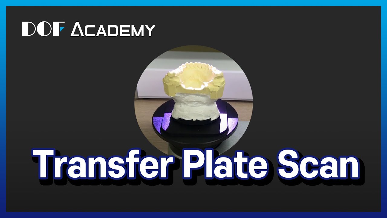 Transfer Plate Scan