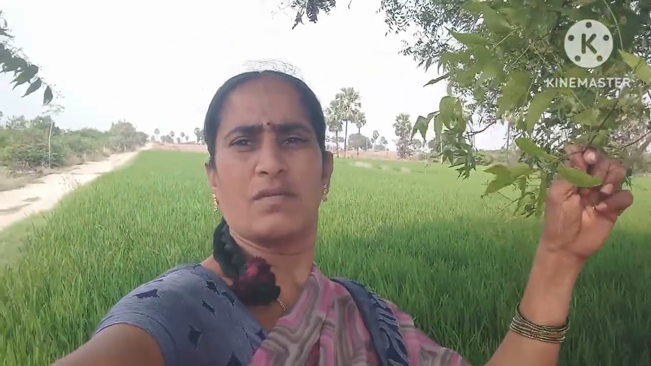 రామరాజు ఇంటికివచ్చి శ్రీవల్లి ని పెళ్ళి చేసుకుంటాను అని చెప్పిన ఏజెంట్,వల్లి చెంప పగలగొట్టిన రామరాజు