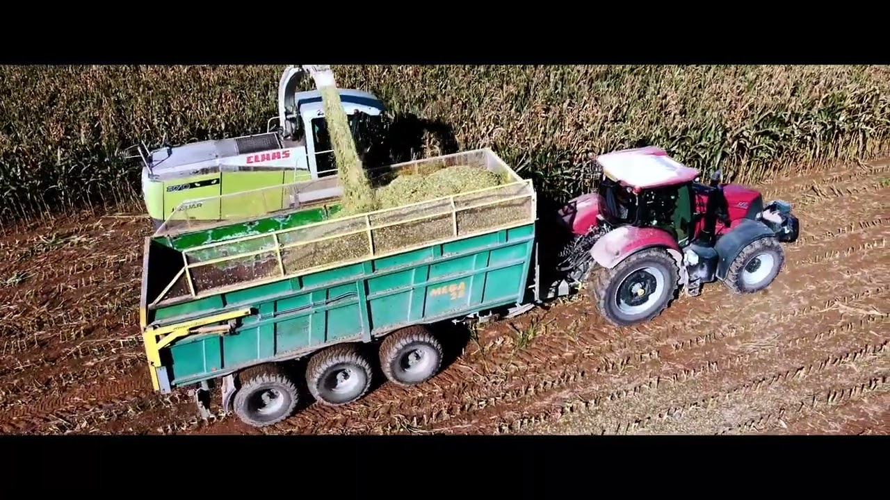 Sekání kukuřice ve Zhoři