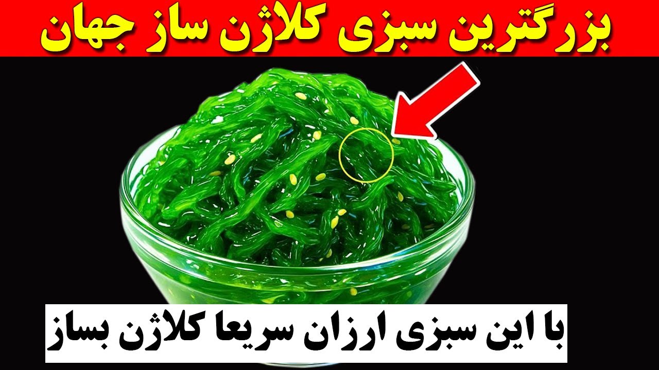 ۸ تا از قوی ترین سبزی های کلاژن ساز جهان که برای مفاصل خود باید مصرف کنید | مفاصلت رو از نو بساز !‌