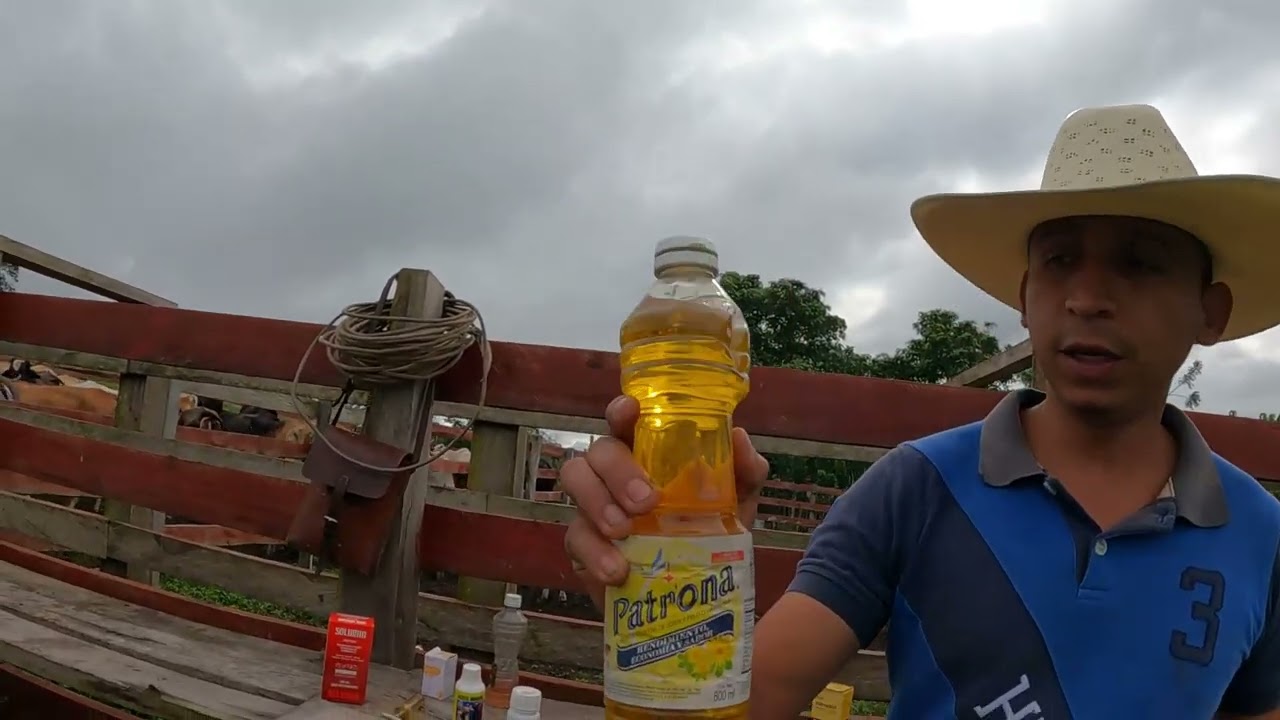 COMO USAR EL ACEITE PARA LA MOSCA DE TU GANADO#PETÉN GUATEMALA