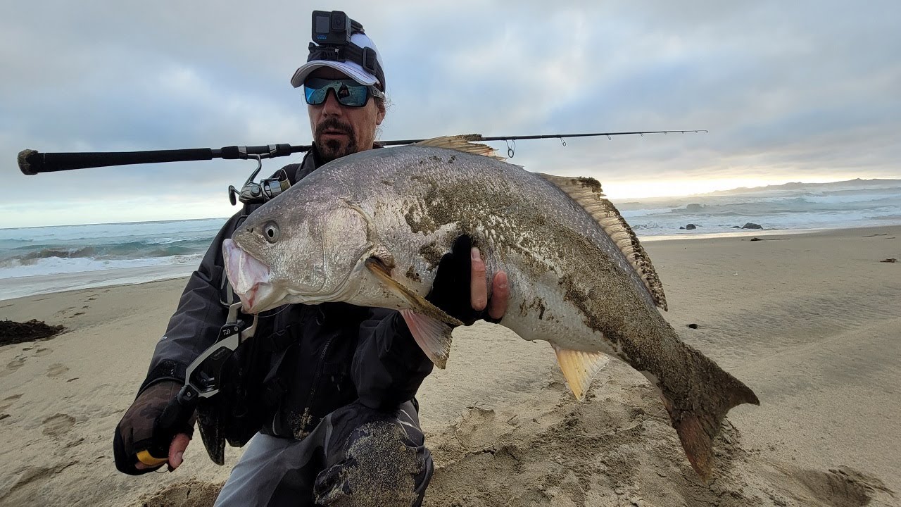 CORVINAS XXL/ PESCA DE CORVINAS
