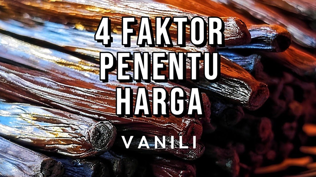 PENGOLAHAN PASCA PANEN KUNCI KEMANDIRIAN PETANI VANILI INDONESIA #vanili #vanillabeans #petanivanili