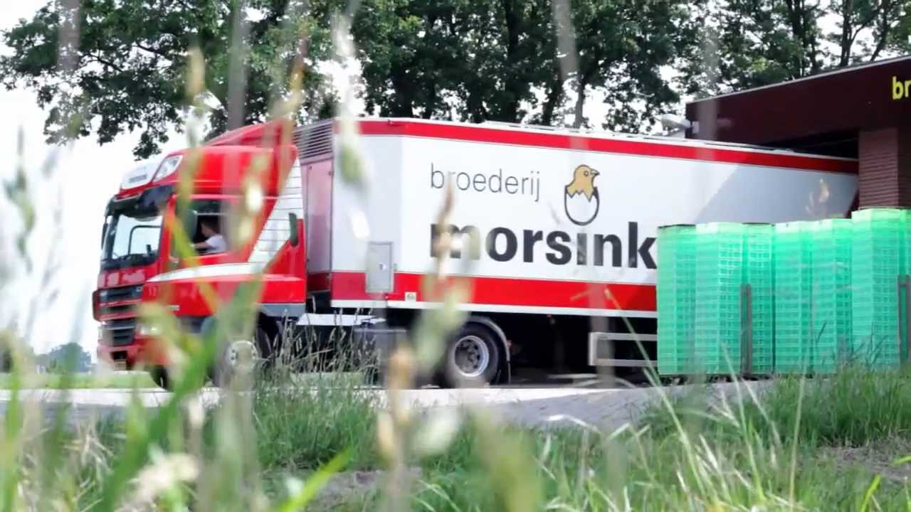 Broederij Morsink Enter Bedrijfsfilm 3minutenversie