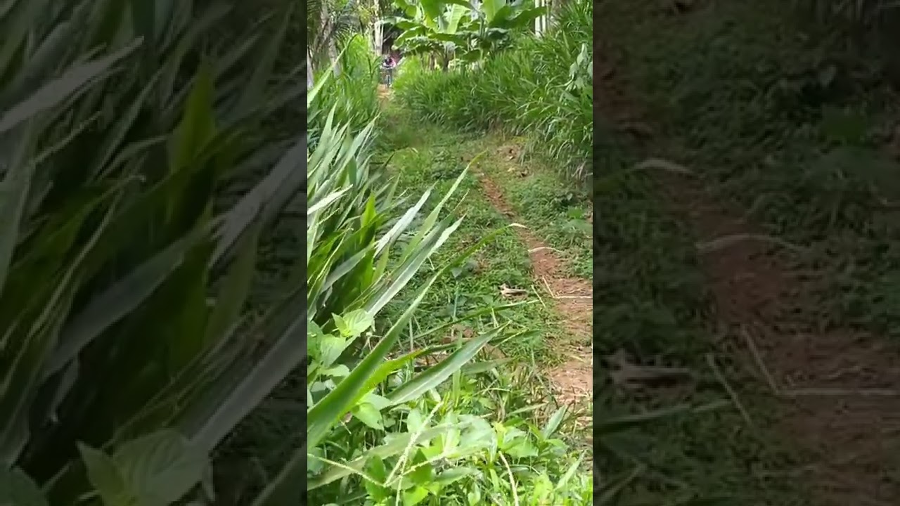MTB fail #gowesindonesia #goweser #mtb #polygon