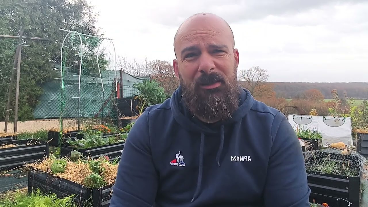 Ce qu’un légume a VRAIMENT besoin pour pousser (et comment bien le nourrir) 