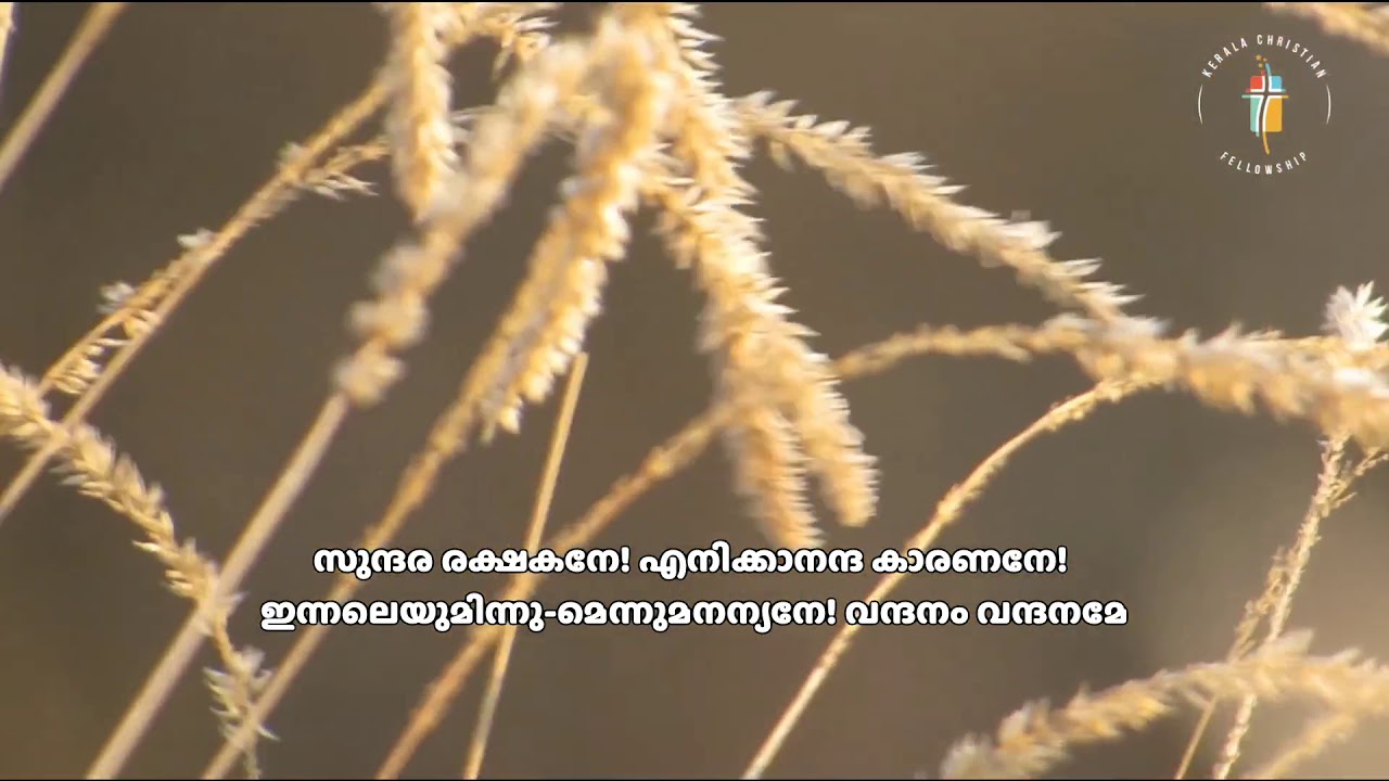 സുന്ദര രക്ഷകനേ! (sundara rakshakane)