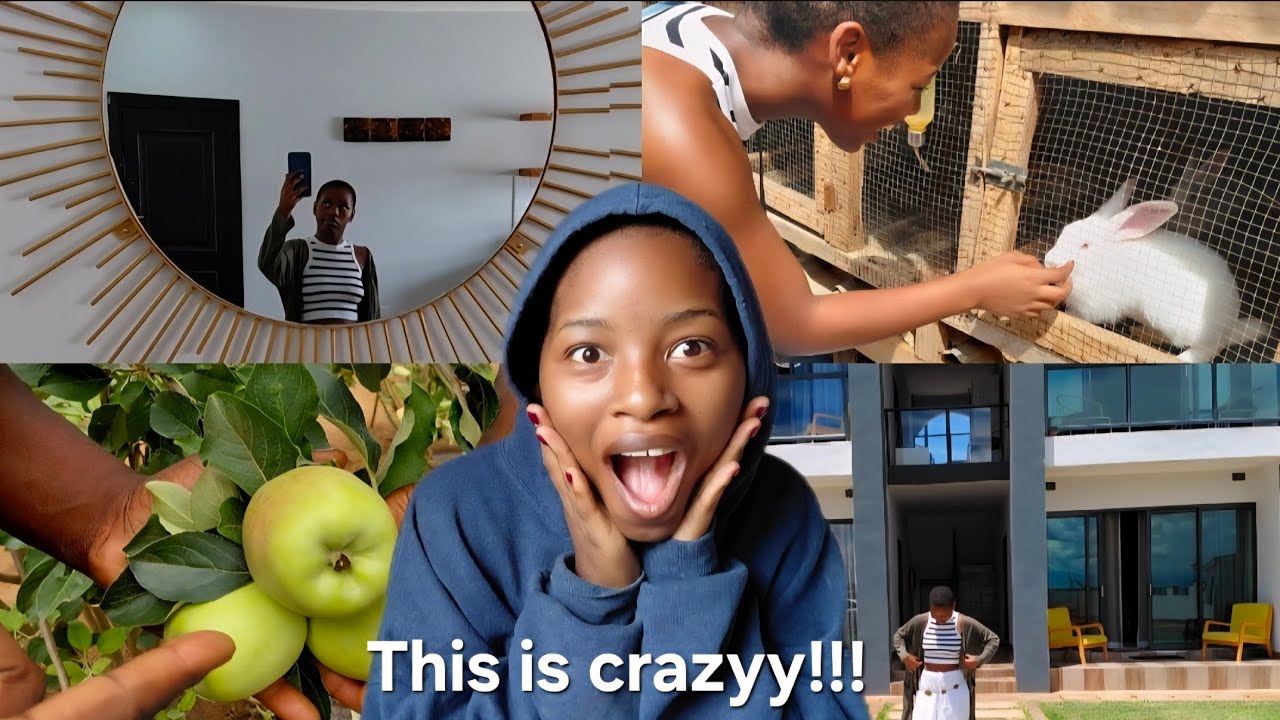 Hotel Tour ☆ Farm visit (wambugu apples) 