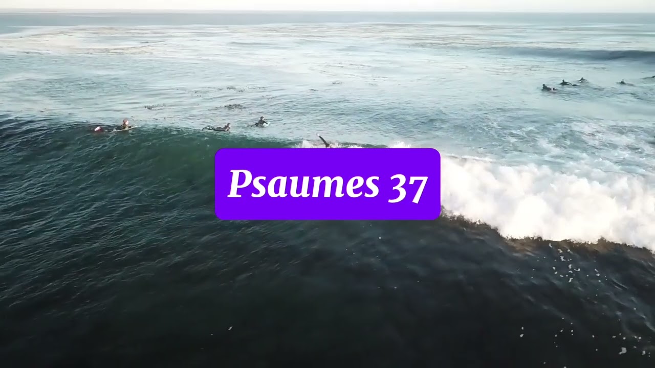 🎙️Psaumes 37-  Patience du juste