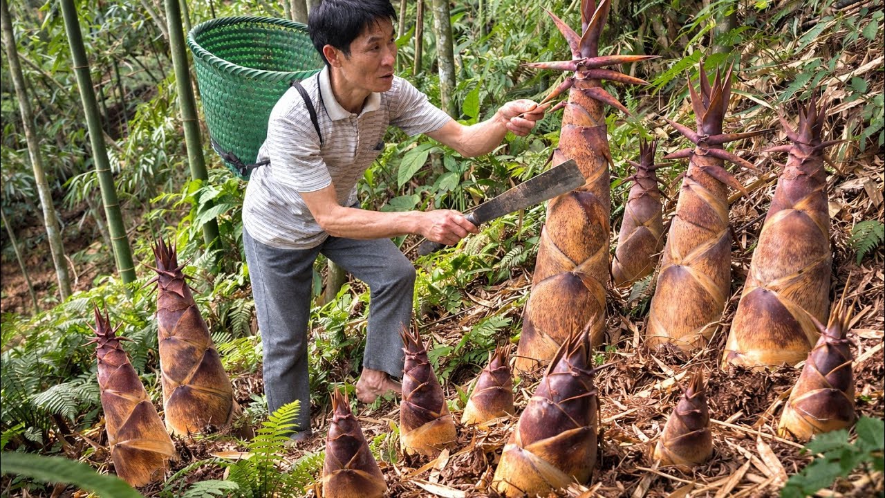GIANT Bamboo Shoot Harvest in the Tropical Rainforest Cooking  - Goes to the Market | Solo Survivalt
