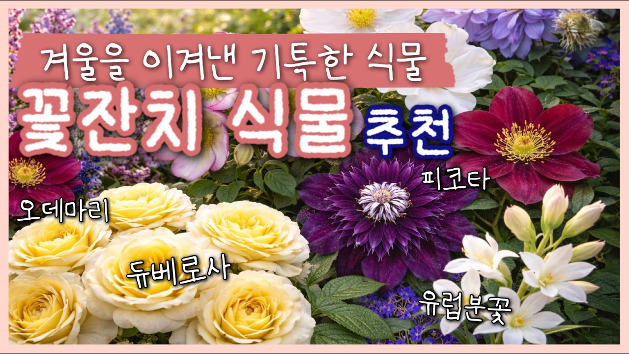 아이고, 이 예쁜 걸 어째요!