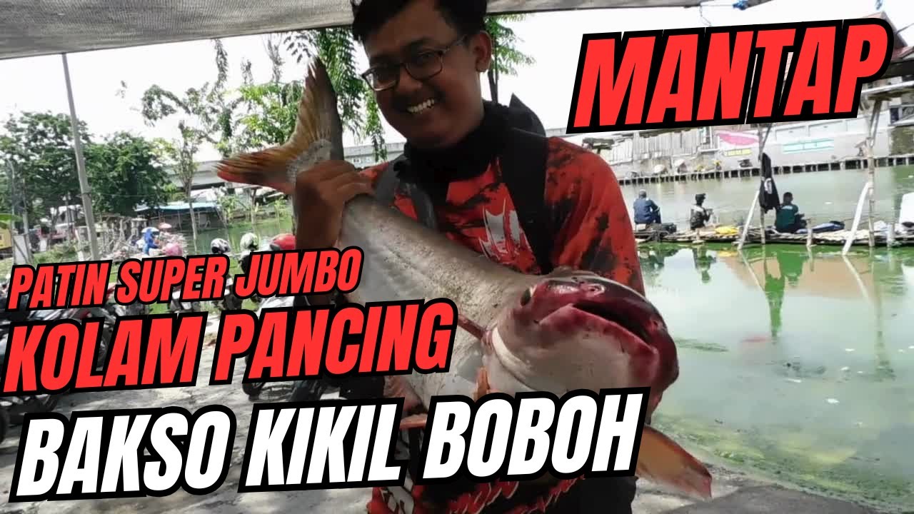 1 PICKUP IKAN PATIN DIRILIS KE KOLAM PANCING #hobimancing #mancing #mancingmania #mancinggresik