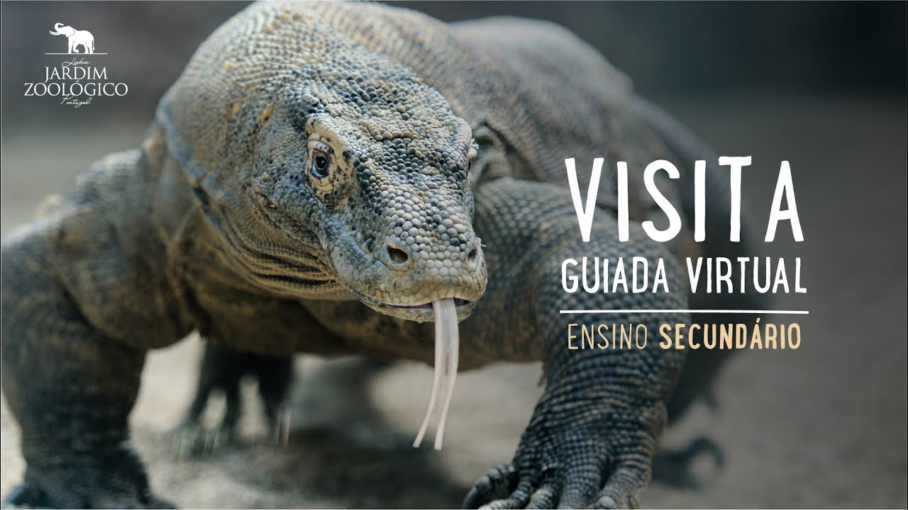 Ensino Secundário – Visita guiada virtual | Jardim Zoológico