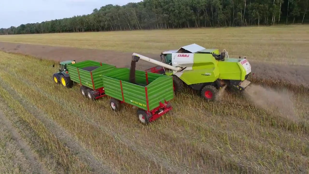Żniwa 2017 (Harvester) John Deere, New Holland, Pronar