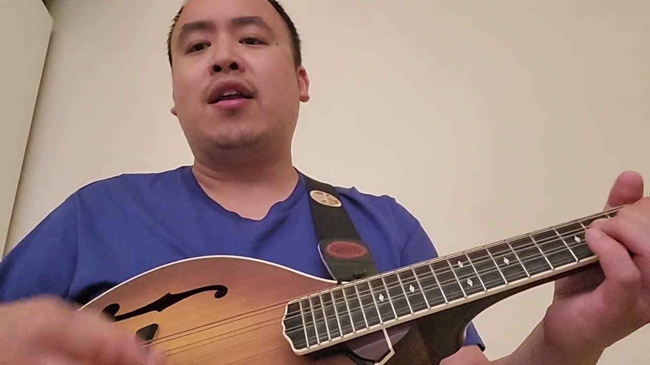 More practising on my A Model Weber Octave Mandolin - King Of The Road (Roger Miller) 🎵