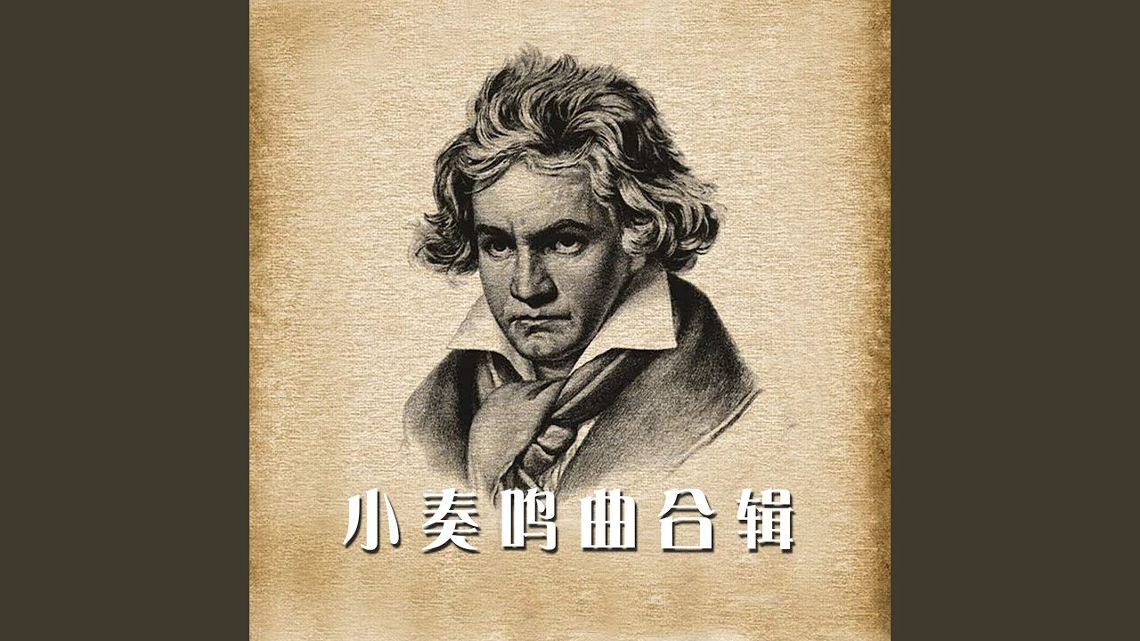 小奏鸣曲 海顿 第一乐章