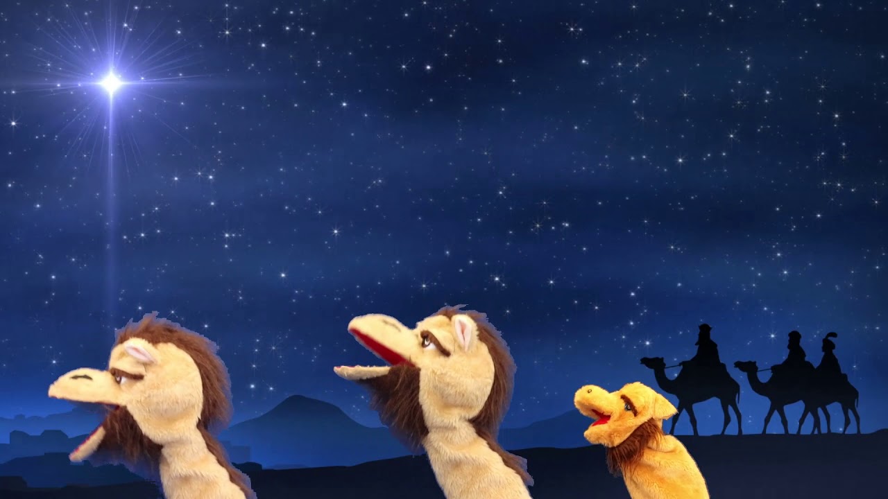 We Three Camels
