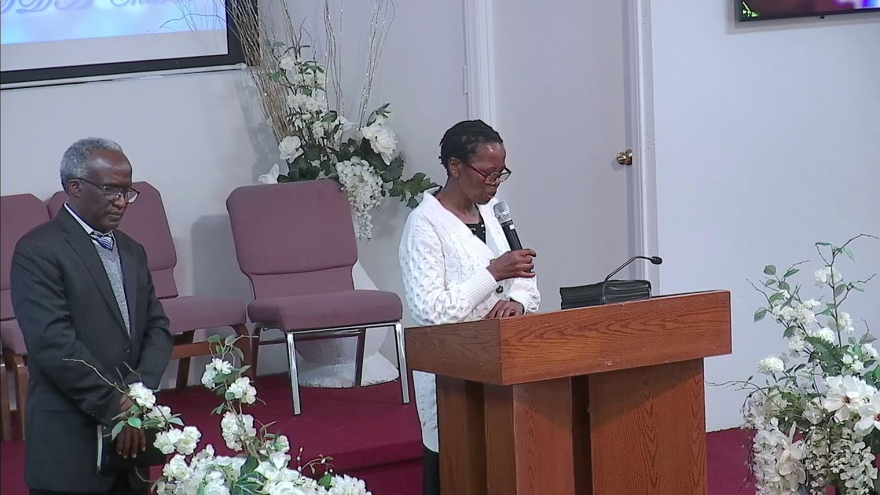 Stewardship Sabbath 02/07/26