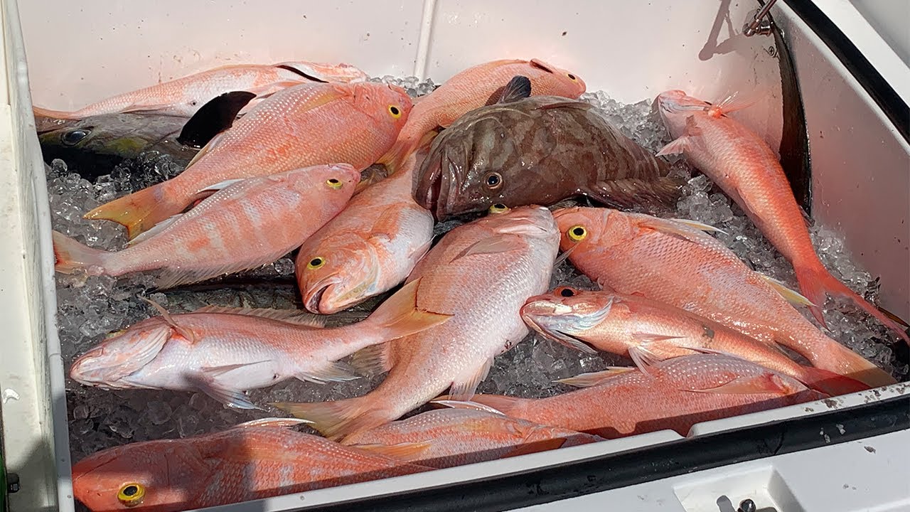 Deep Dropping for Yellow Eye and Queen Snapper (CATCH CLEAN COOK) (Bahamas Fishing)