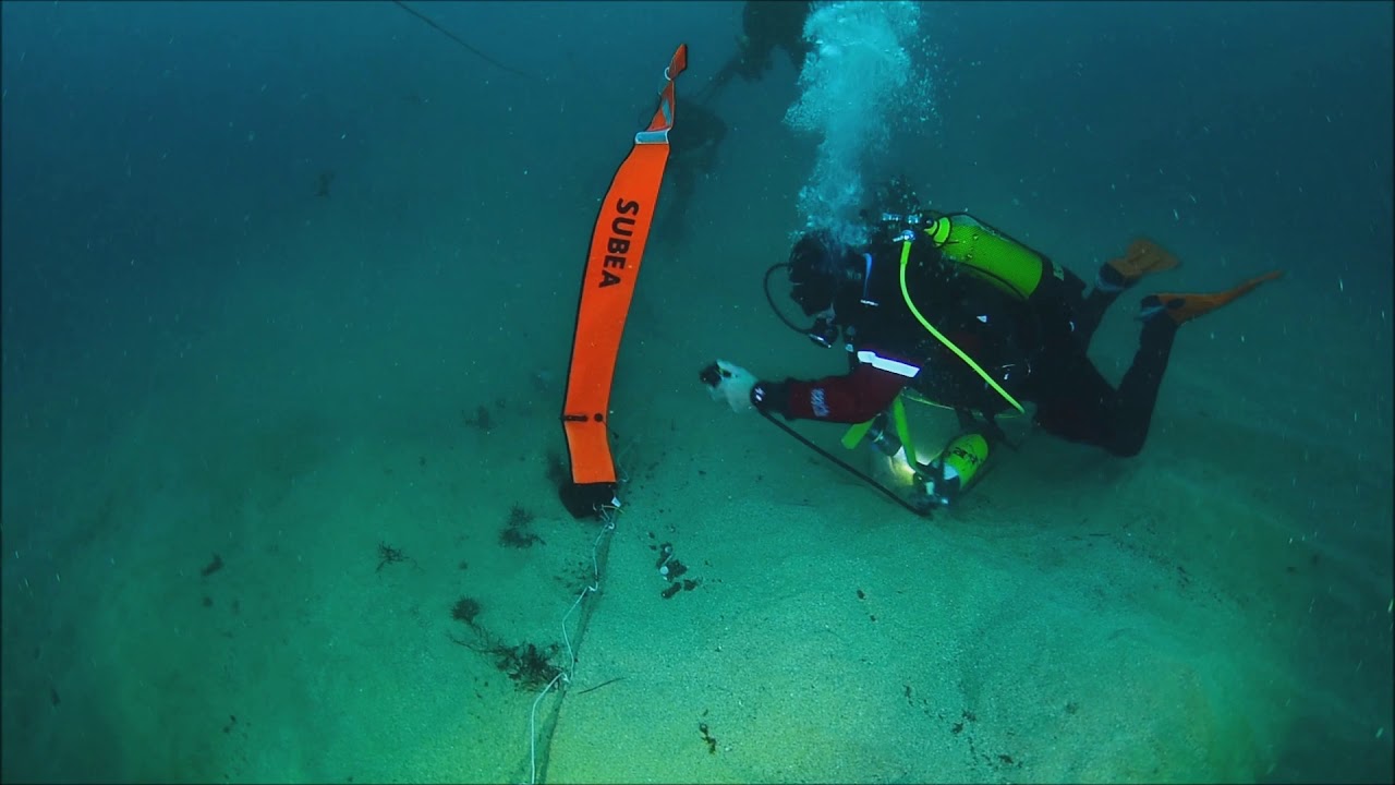 Biodiversité marine côte Basque