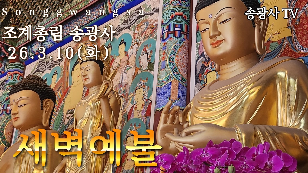 송광사 새벽예불 26.03.10