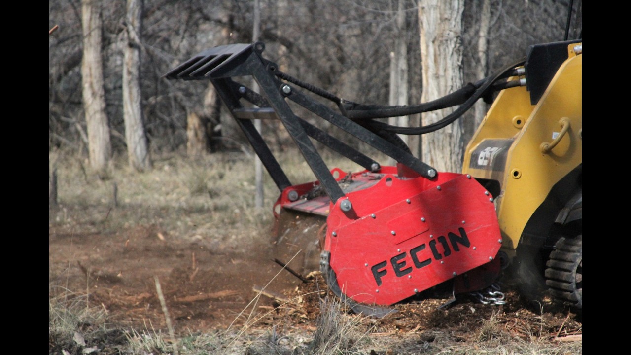 Introducing Black Mule Forestry (Part 1 Brush Pile)
