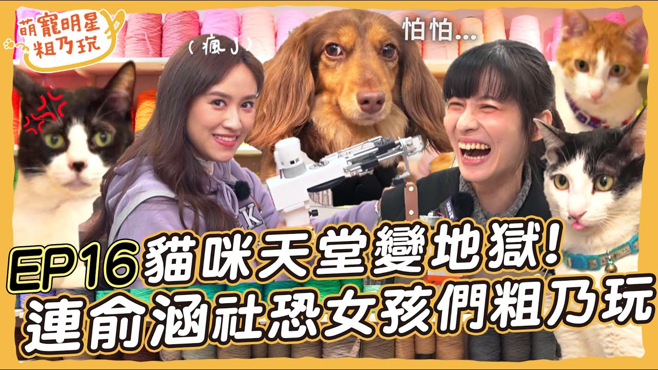 [SUB] EP16 呵喜被貓包圍 天堂變地獄？ 連俞涵 Sandy 社恐女孩粗乃玩啦！ Tufting 簇絨槍 DIY挑戰 老師殺手 吳姍儒 能成功嗎？【 萌寵明星粗乃玩 】@haveapetday