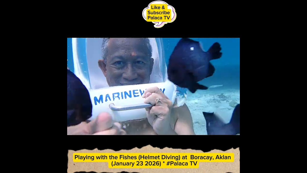 Playing with the Fishes (Helmet Diving) at  Boracay, Aklan  (January 23 2026) * #Palaca TV